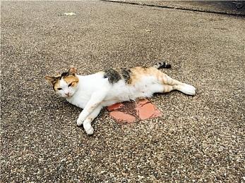 《宇宙机器人》发售之后将获得免费DLC 添加更多关卡