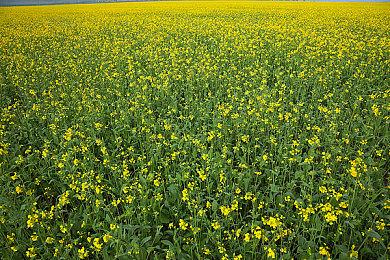 复古风3D动作游戏《Lunistice》发售获特别好评